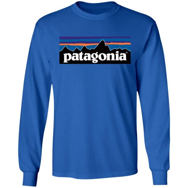 Patagonia hoodie
