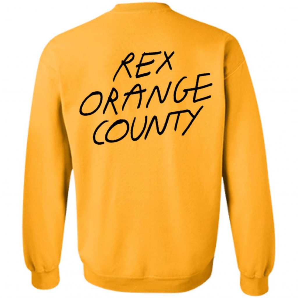 Rex Orange County Merch Pony Logo TShirt Tipatee