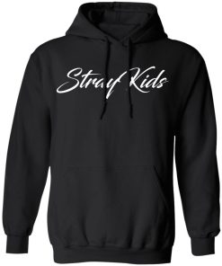 Stray Kids Merch Back Stray Kids Hoodie